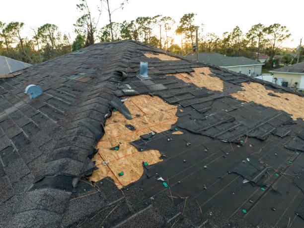 Best Roof Insulation Installation  in Jefferson, WI
